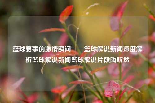 篮球赛事的激情瞬间——篮球解说新闻深度解析篮球解说新闻篮球解说片段陶昕然