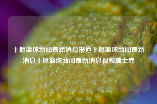 十堰篮球新闻最新消息报道十堰篮球新闻最新消息十堰篮球新闻最新消息视频瑞士卷