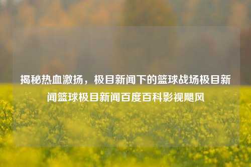 揭秘热血激扬，极目新闻下的篮球战场极目新闻篮球极目新闻百度百科影视飓风