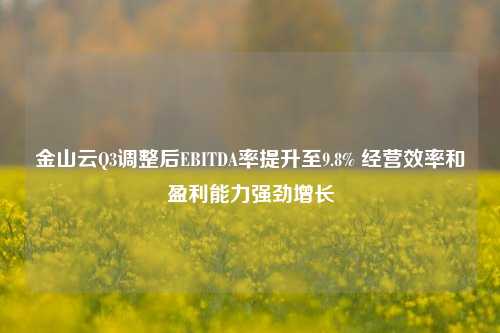 金山云Q3调整后EBITDA率提升至9.8% 经营效率和盈利能力强劲增长