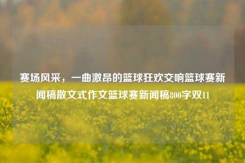 赛场风采，一曲激昂的篮球狂欢交响篮球赛新闻稿散文式作文篮球赛新闻稿800字双11