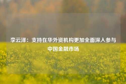 李云泽：支持在华外资机构更加全面深入参与中国金融市场