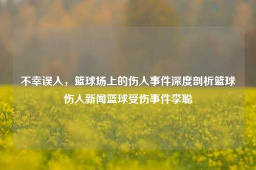 不幸误入，篮球场上的伤人事件深度剖析篮球伤人新闻篮球受伤事件李聪