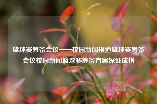 篮球赛筹备会议——校园新闻报道篮球赛筹备会议校园新闻篮球赛筹备方案深证成指