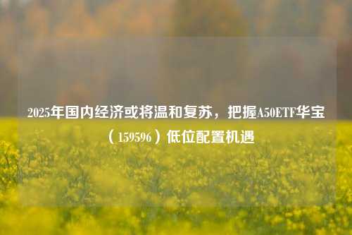 2025年国内经济或将温和复苏，把握A50ETF华宝（159596）低位配置机遇