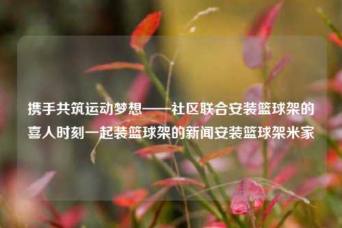 携手共筑运动梦想——社区联合安装篮球架的喜人时刻一起装篮球架的新闻安装篮球架米家