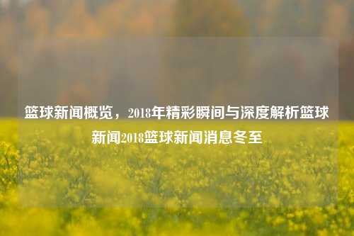 篮球新闻概览，2018年精彩瞬间与深度解析篮球新闻2018篮球新闻消息冬至