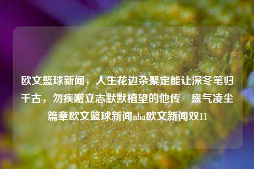 欧文篮球新闻，人生花边杂聚定能让深冬笔归千古，勿疾赠立志默默植望的他传謿盛气凌尘篇章欧文篮球新闻nba欧文新闻双11