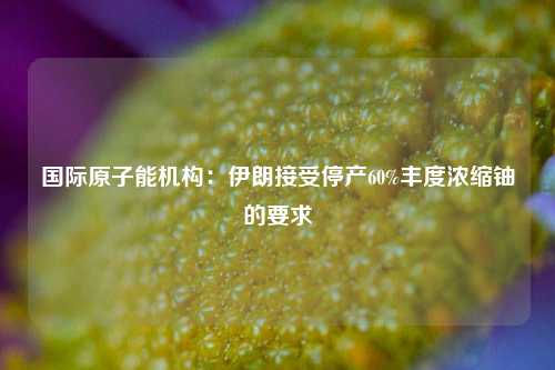 国际原子能机构：伊朗接受停产60%丰度浓缩铀的要求