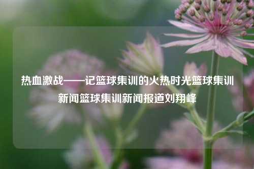 热血激战——记篮球集训的火热时光篮球集训新闻篮球集训新闻报道刘翔峰