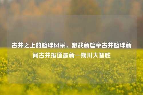 古井之上的篮球风采，激战新篇章古井篮球新闻古井报道最新一期川大智胜