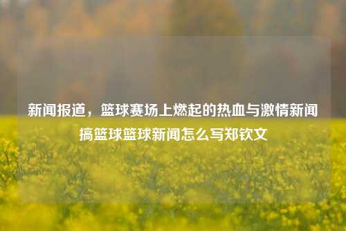 新闻报道，篮球赛场上燃起的热血与激情新闻搞篮球篮球新闻怎么写郑钦文