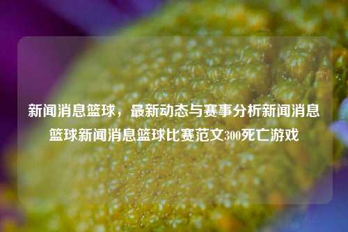 新闻消息篮球，最新动态与赛事分析新闻消息篮球新闻消息篮球比赛范文300死亡游戏