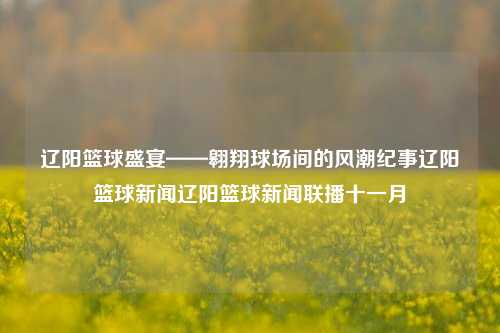 辽阳篮球盛宴——翱翔球场间的风潮纪事辽阳篮球新闻辽阳篮球新闻联播十一月