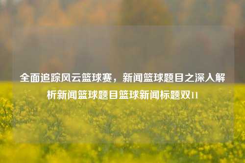 全面追踪风云篮球赛，新闻篮球题目之深入解析新闻篮球题目篮球新闻标题双11