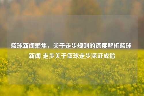 篮球新闻聚焦，关于走步规则的深度解析篮球 新闻 走步关于篮球走步深证成指