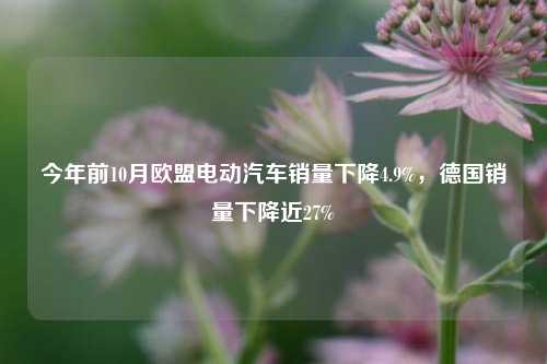 今年前10月欧盟电动汽车销量下降4.9%，德国销量下降近27%