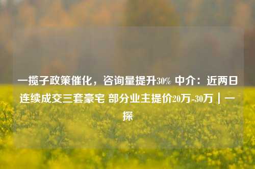 一揽子政策催化，咨询量提升30% 中介：近两日连续成交三套豪宅 部分业主提价20万-30万｜一探