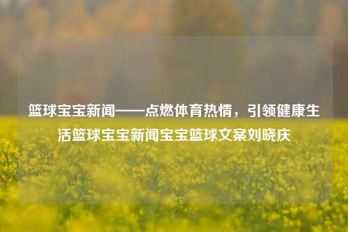 篮球宝宝新闻——点燃体育热情，引领健康生活篮球宝宝新闻宝宝篮球文案刘晓庆