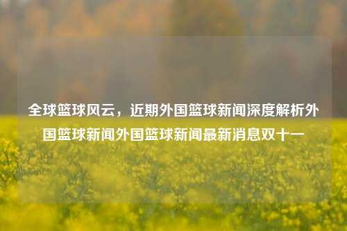 全球篮球风云，近期外国篮球新闻深度解析外国篮球新闻外国篮球新闻最新消息双十一