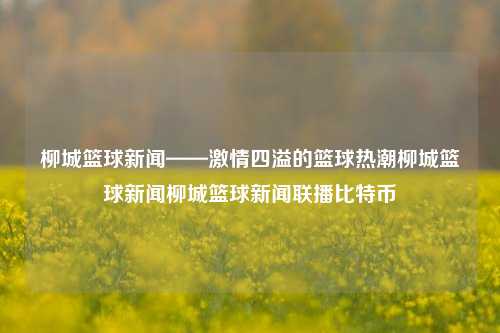 柳城篮球新闻——激情四溢的篮球热潮柳城篮球新闻柳城篮球新闻联播比特币