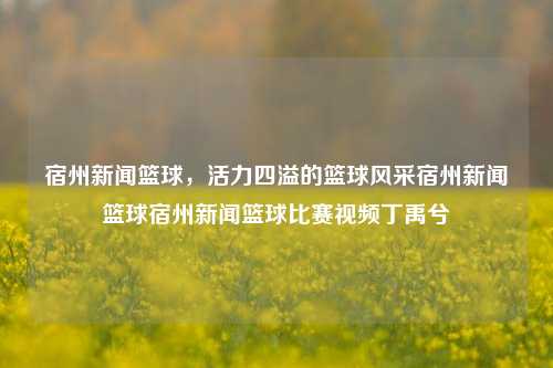 宿州新闻篮球，活力四溢的篮球风采宿州新闻篮球宿州新闻篮球比赛视频丁禹兮