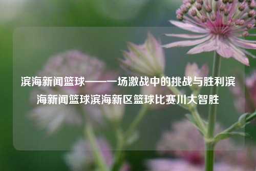 滨海新闻篮球——一场激战中的挑战与胜利滨海新闻篮球滨海新区篮球比赛川大智胜