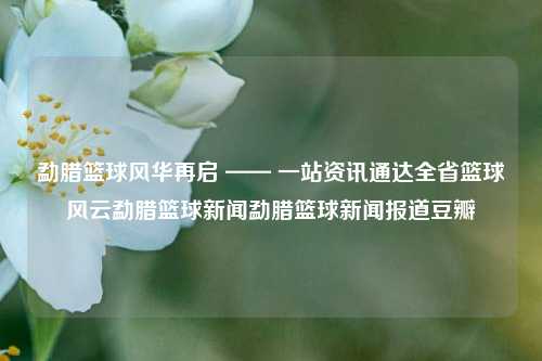 勐腊篮球风华再启 —— 一站资讯通达全省篮球风云勐腊篮球新闻勐腊篮球新闻报道豆瓣