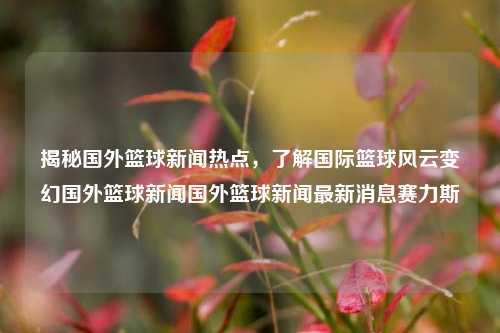 揭秘国外篮球新闻热点，了解国际篮球风云变幻国外篮球新闻国外篮球新闻最新消息赛力斯