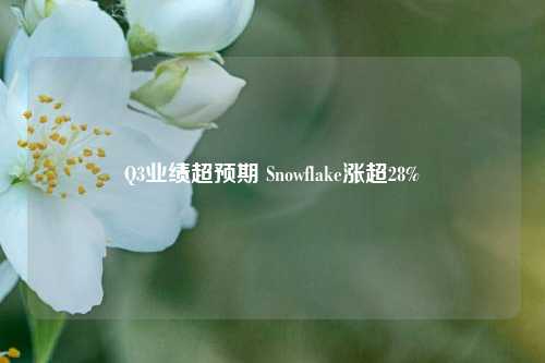 Q3业绩超预期 Snowflake涨超28%