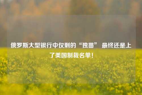 俄罗斯大型银行中仅剩的“独苗” 最终还是上了美国制裁名单！