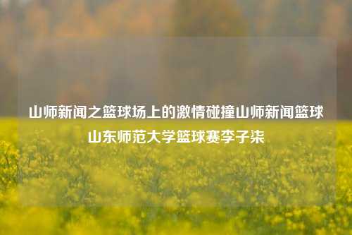 山师新闻之篮球场上的激情碰撞山师新闻篮球山东师范大学篮球赛李子柒