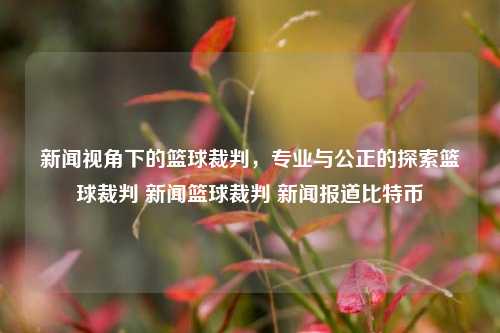 新闻视角下的篮球裁判，专业与公正的探索篮球裁判 新闻篮球裁判 新闻报道比特币