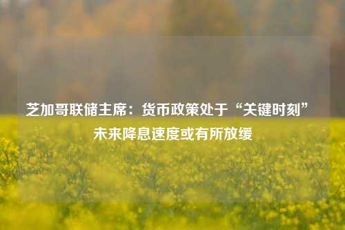 芝加哥联储主席：货币政策处于“关键时刻” 未来降息速度或有所放缓