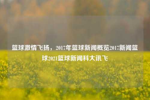 篮球激情飞扬，2017年篮球新闻概览2017新闻篮球2021篮球新闻科大讯飞