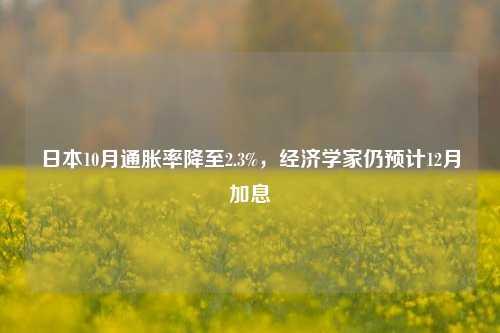 日本10月通胀率降至2.3%，经济学家仍预计12月加息