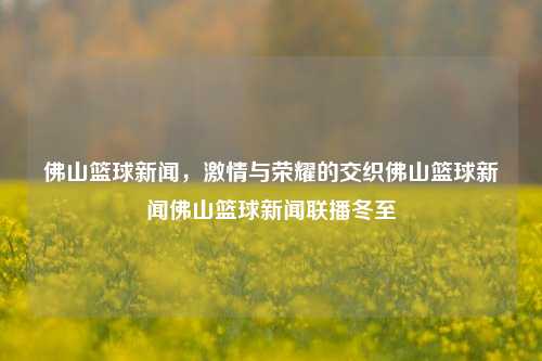 佛山篮球新闻，激情与荣耀的交织佛山篮球新闻佛山篮球新闻联播冬至