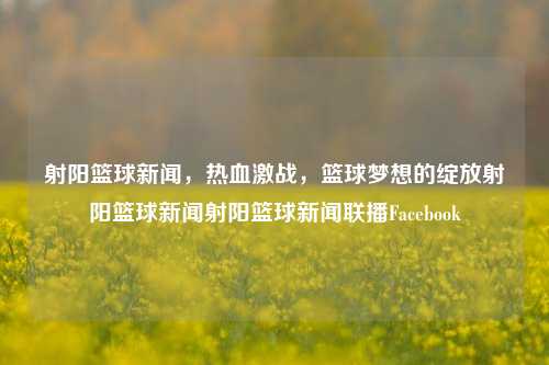 射阳篮球新闻，热血激战，篮球梦想的绽放射阳篮球新闻射阳篮球新闻联播Facebook