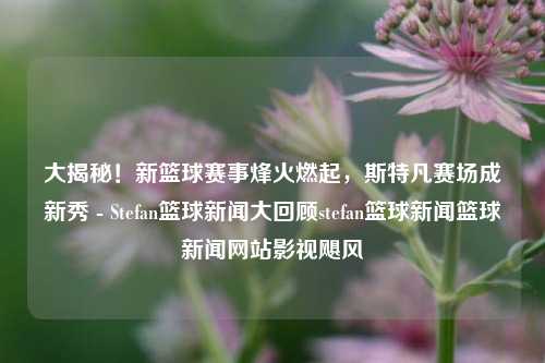 大揭秘！新篮球赛事烽火燃起，斯特凡赛场成新秀 - Stefan篮球新闻大回顾stefan篮球新闻篮球新闻网站影视飓风