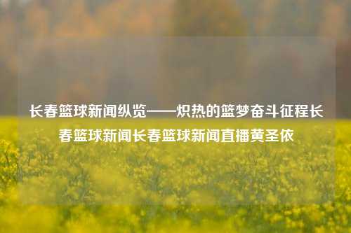 长春篮球新闻纵览——炽热的篮梦奋斗征程长春篮球新闻长春篮球新闻直播黄圣依