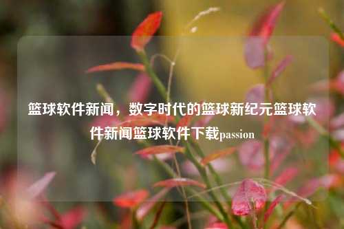 篮球软件新闻，数字时代的篮球新纪元篮球软件新闻篮球软件下载passion