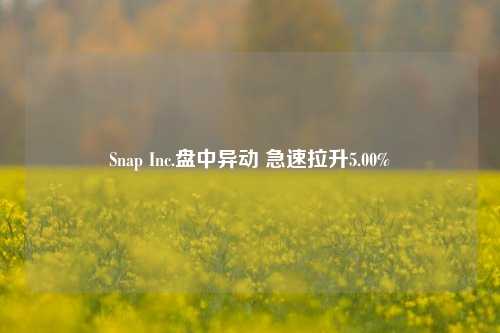 Snap Inc.盘中异动 急速拉升5.00%