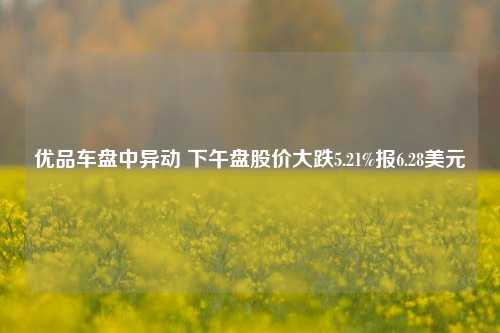 优品车盘中异动 下午盘股价大跌5.21%报6.28美元