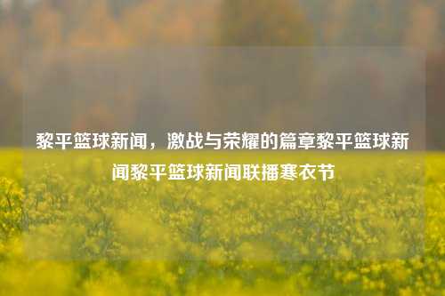 黎平篮球新闻，激战与荣耀的篇章黎平篮球新闻黎平篮球新闻联播寒衣节