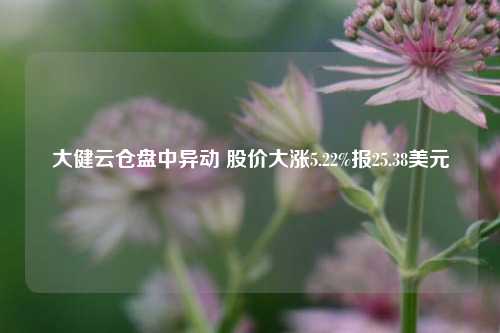 大健云仓盘中异动 股价大涨5.22%报25.38美元