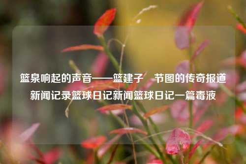 篮泉响起的声音——篮建子墜节图的传奇报道新闻记录篮球日记新闻篮球日记一篇毒液