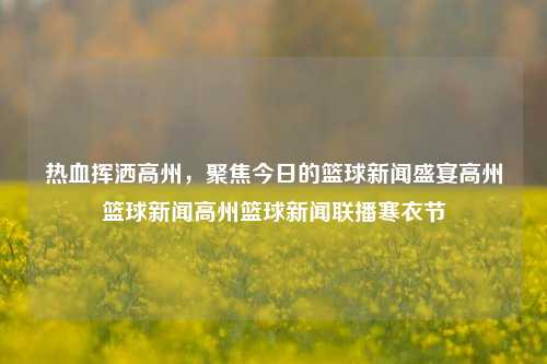 热血挥洒高州，聚焦今日的篮球新闻盛宴高州篮球新闻高州篮球新闻联播寒衣节