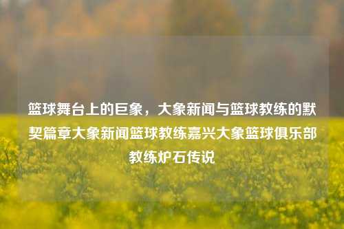 篮球舞台上的巨象，大象新闻与篮球教练的默契篇章大象新闻篮球教练嘉兴大象篮球俱乐部教练炉石传说