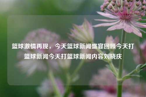 篮球激情再现，今天篮球新闻盛宴回顾今天打篮球新闻今天打篮球新闻内容刘晓庆