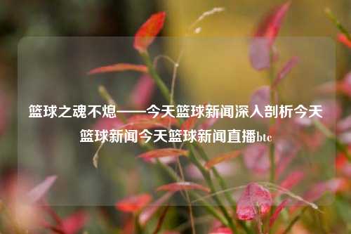 篮球之魂不熄——今天篮球新闻深入剖析今天篮球新闻今天篮球新闻直播btc